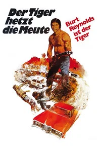 Der Tiger hetzt die Meute