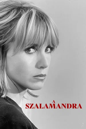 A szalamandra